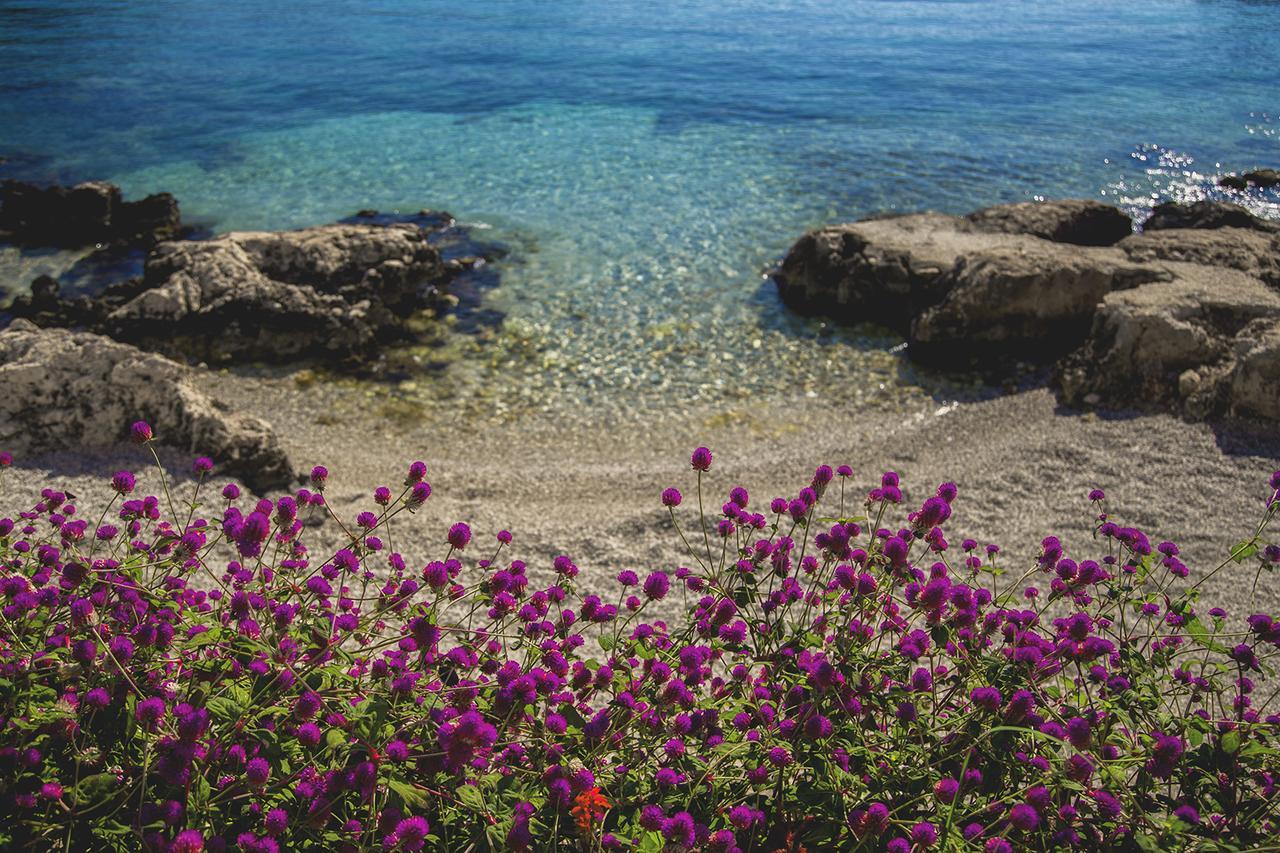 קס Blanca Beach Hotel מראה חיצוני תמונה